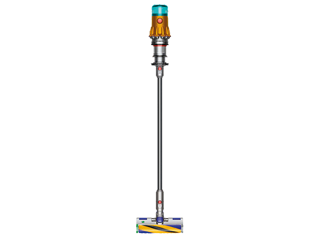 dyson v12
